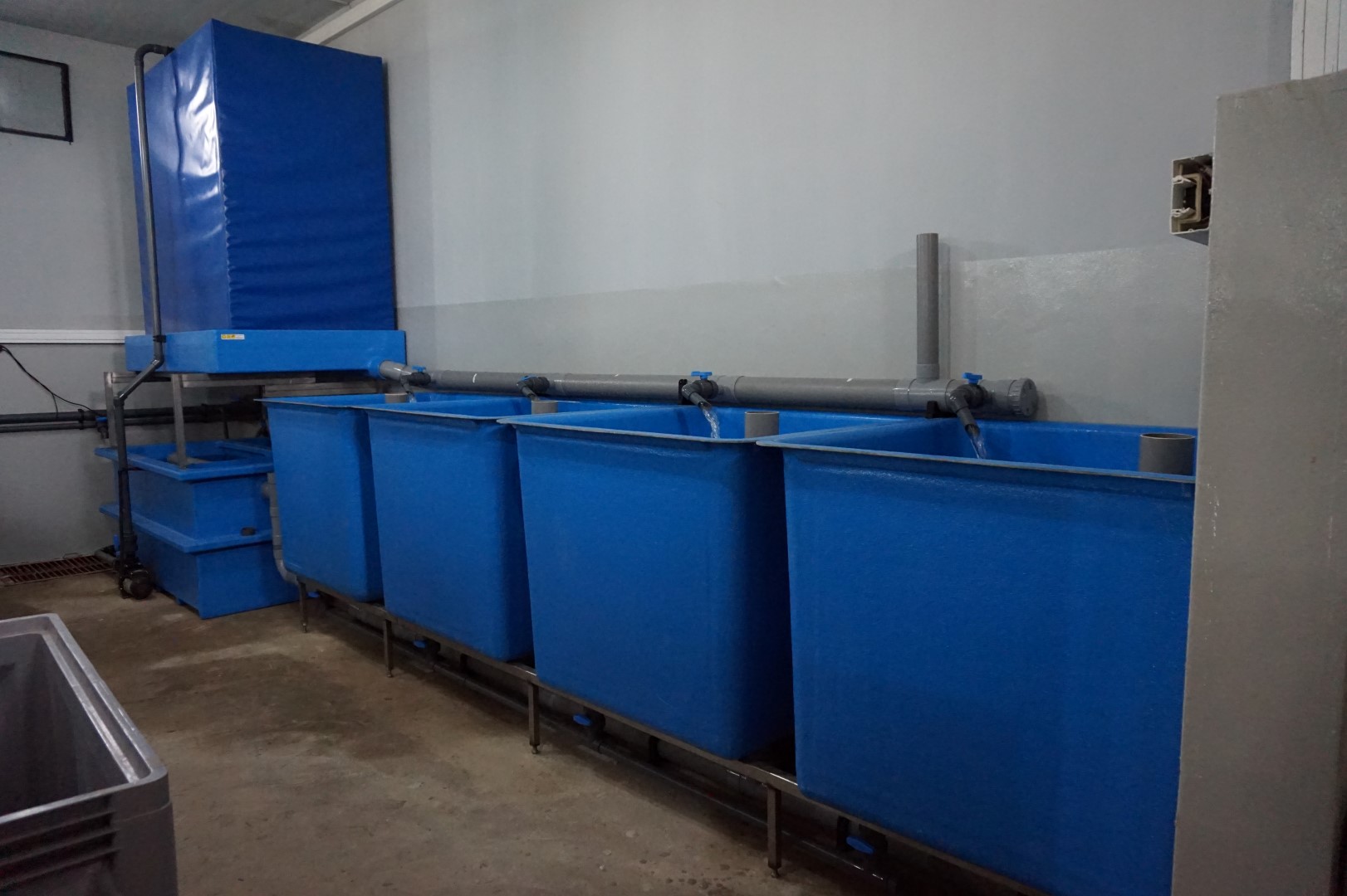 African catfish broodstock system Aquaculture ID