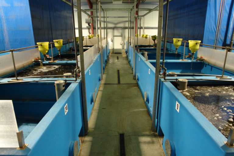Bioenergy Lüchow4