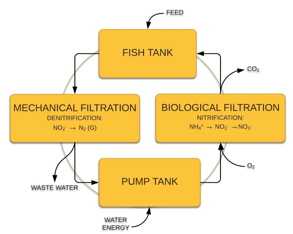 Recirculating aquaculture system or RAS - Aquaculture ID