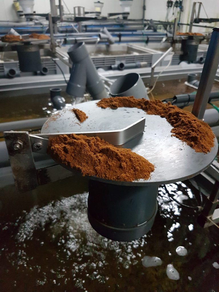 Fish feeders Aquaculture ID