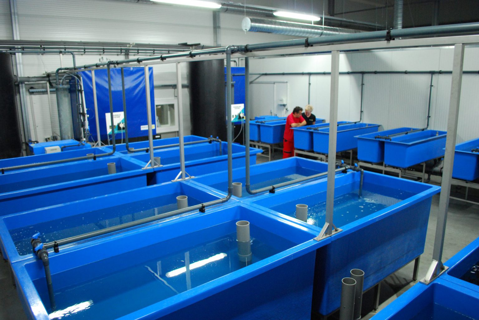 Turn Key Fish Hatchery Solutions For Many Fish Species Aquaculture ID