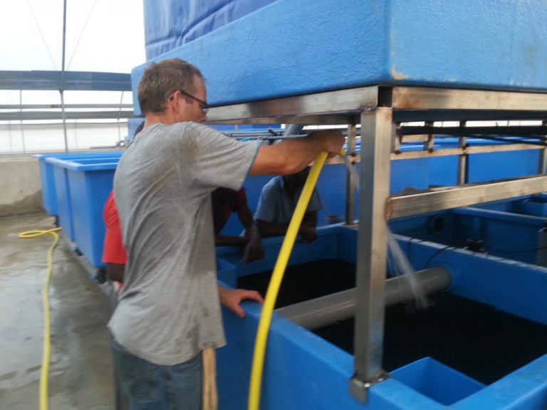 Meaning of Recirculating Aquaculture System (RAS) in Fish Farming