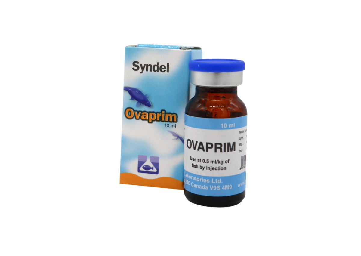Ovaprim fish spermiating or ovulating agent Aquaculture ID